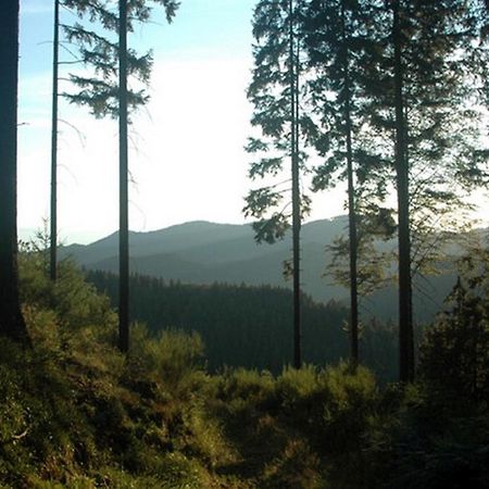 Vila Landeckhof Oberwolfach Exteriér fotografie