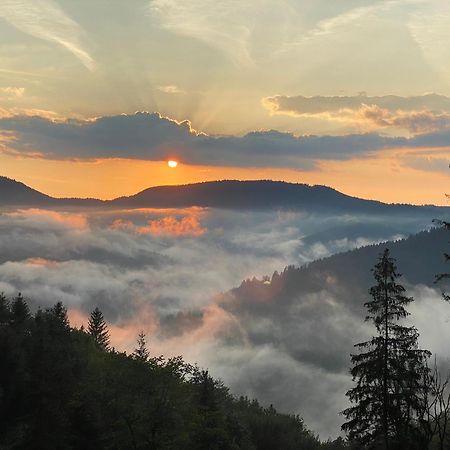 Vila Landeckhof Oberwolfach Exteriér fotografie
