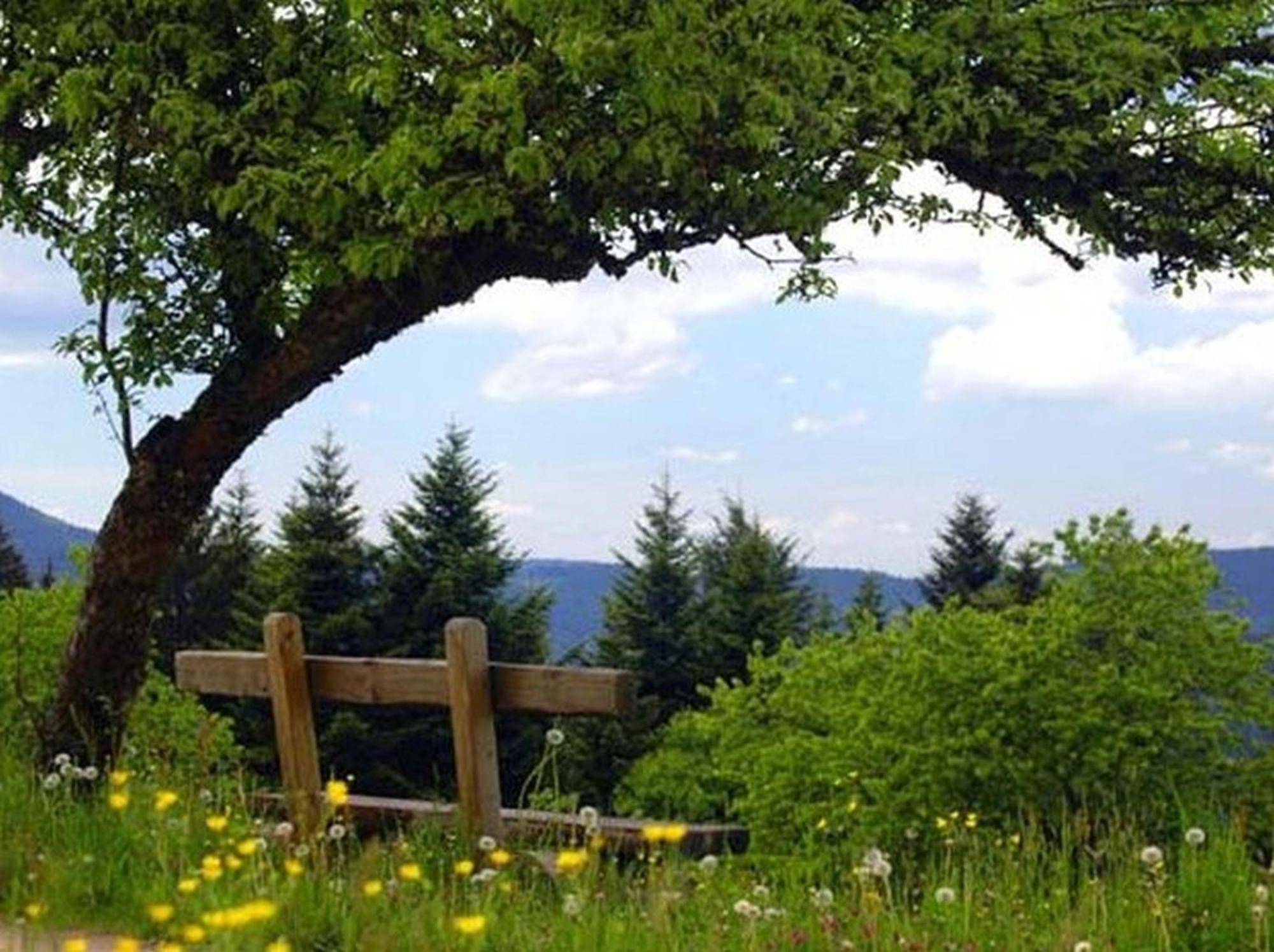 Vila Landeckhof Oberwolfach Exteriér fotografie